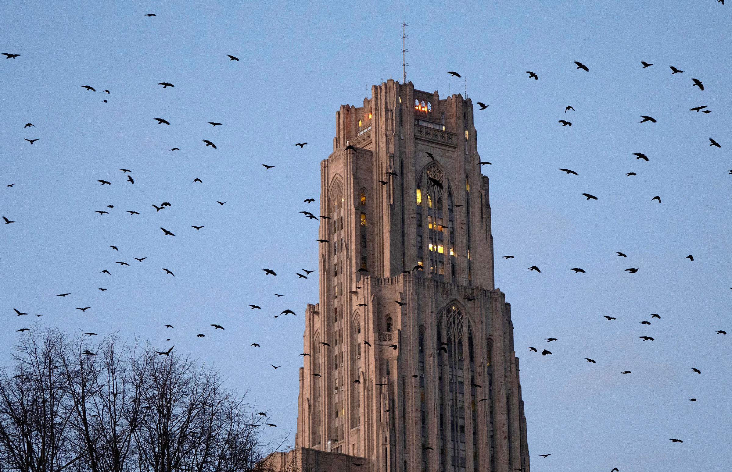 post-gazette.com - Jimmy Cloutier - University of Pittsburgh team's FRED model tracks measles