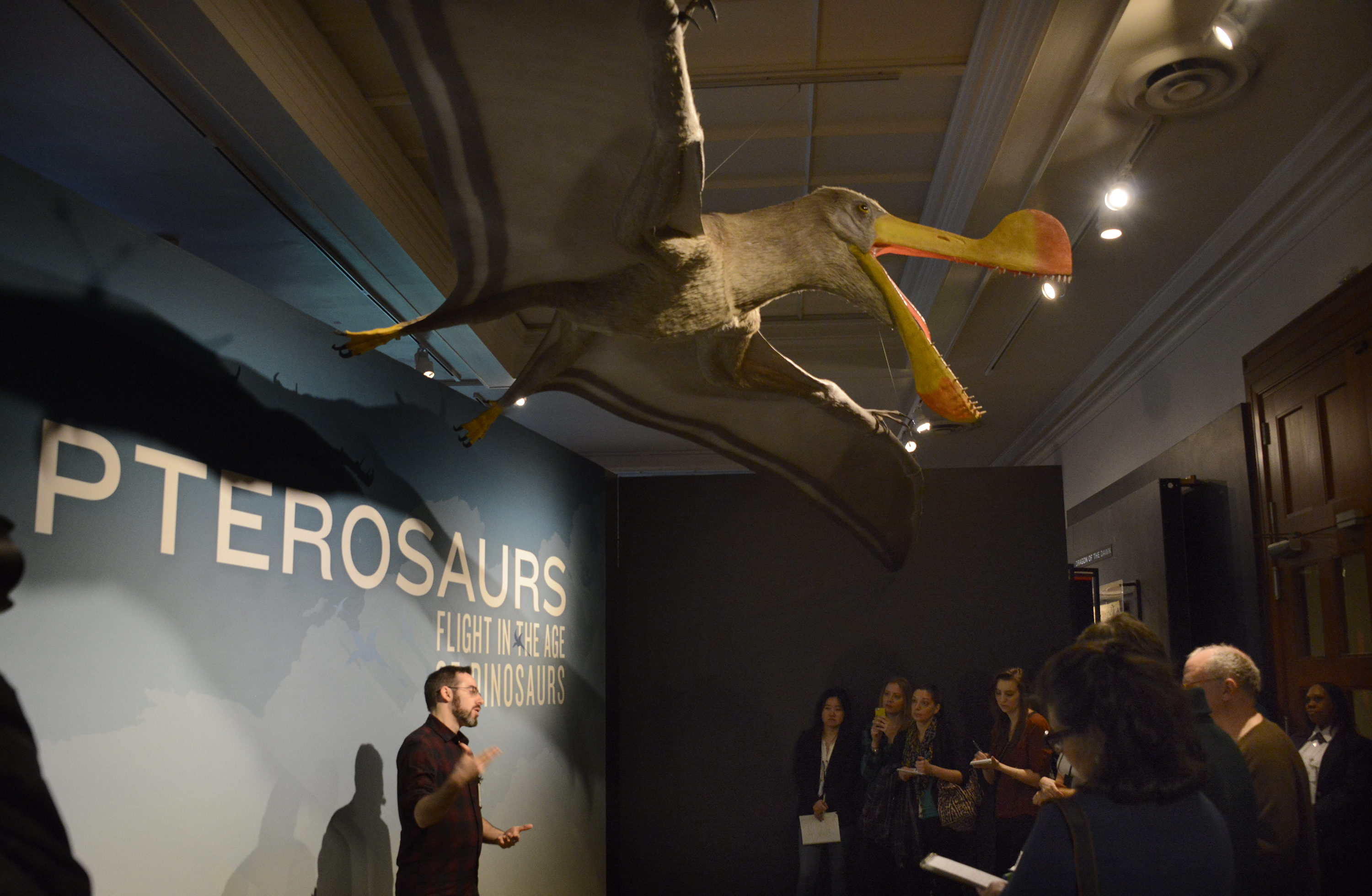 pterosaurs exhibit