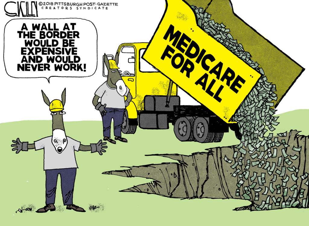 Expensive Cartoon Examples So expensive that it’d never work – Steve Kelley | Pittsburgh Post ...