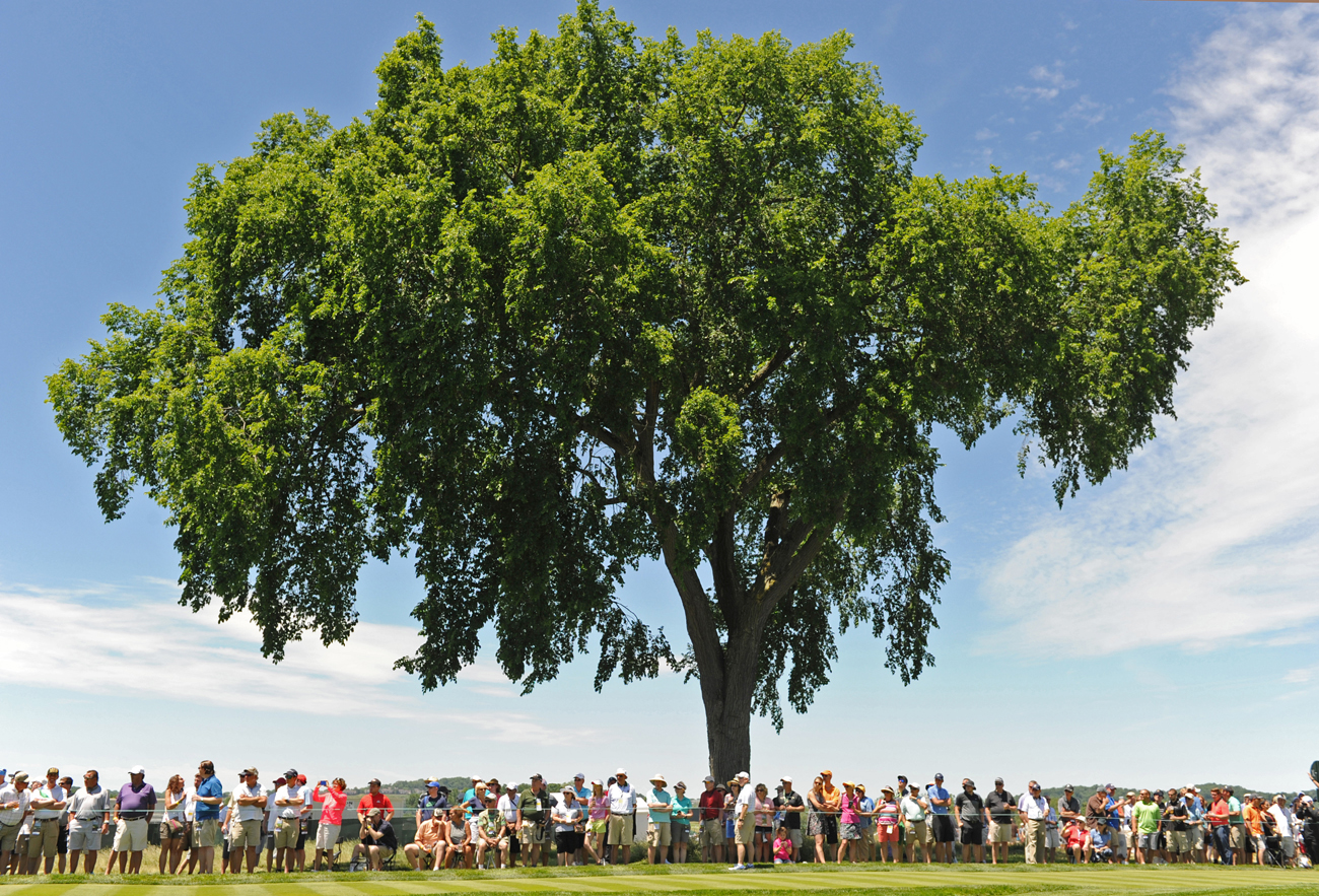 Spectators grab some shade under a large tree on the second hole fairway during practice rounds at Oakmont. (Matt Freed/Post-Gazette)
